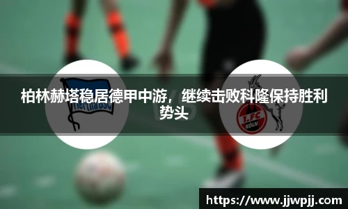 熊猫体育官网