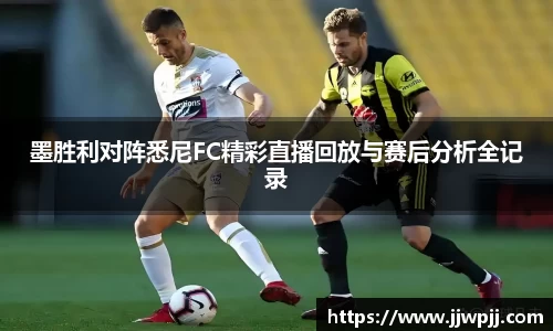 熊猫体育