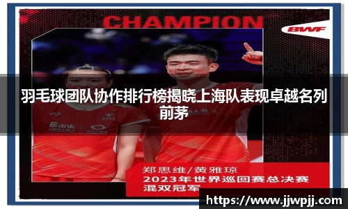 羽毛球团队协作排行榜揭晓上海队表现卓越名列前茅